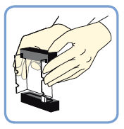 Pipettieren mit einer einstellbare Mikropipette: Diese Pipetten verfügen über zwei Druckpunkte: Einen ersten weichen Druckpunkt und einen zweiten festen Druckpunkt.
