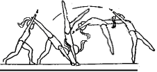 Bild: Handstand (2 sek.) 180 Schulterwinkel gestreckte Arme gestreckter Körper (kein Hohlkreuz) geschlossene Beine Fixierung der Position 2 sek. Fixierung/Haltedauer unter 1 sek.