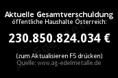 Österreich (explizite) Schulden 230 Mrd.
