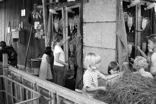 Der EKT-Ausflug zu einem Bauernhof Eltern-Kind-Treff Wir besuchten den Stall, wo die Bullen drin waren. Einige Kinder hatten Angst vor den Bullen und gingen schnell wieder raus.