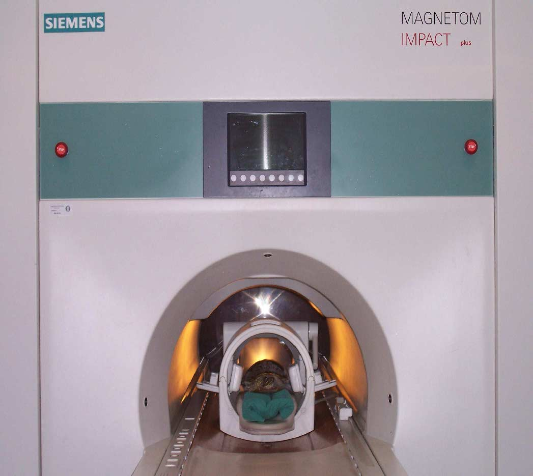III. Material und Methode III.1.2.3. Magnetresonanztomograph Abb.