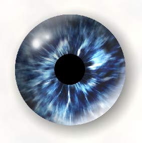 3. Das menschliche visuelle System Auge und Gehirn Grenzen der Wahrnehmung Auflösung: 6 Mio. Zapfenzellen, davon ca. 160.