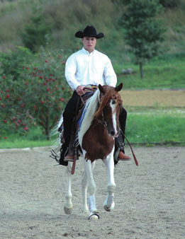 Die Besucher können mit auszubildenden Pferdewirten, die um Sieg und Platzierung in Dressur-, Spring- und Fahrprüfungen wetteifern, mitfiebern, sich aber auch selbst an Wettbewerben, wie etwa dem