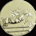 Aluminium Hohlprägungen lieferbar in gold - silber - bronze Ø 25 mm und Ø 50 mm 3-D-Ausführung Ein großer Teil der Embleme wird in 3-dimensionaler Prägequalität geliefert.