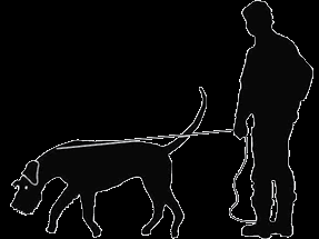 Perl - 4 - Ausgabe 08/2017 Hinweise für Hundehalter Verunreinigung von Straßen und öffentlichen Grünanlagen Immer wieder werden Beschwerden verärgerter Grundstückseigentümer, Anwohner und