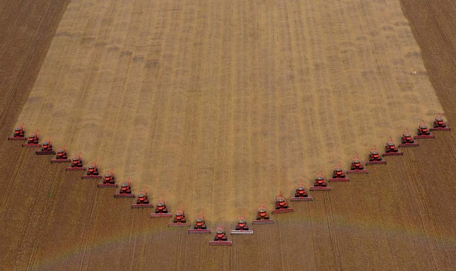 Ist 160 Euro eine gute Preis für die GROSSE Landwirt?