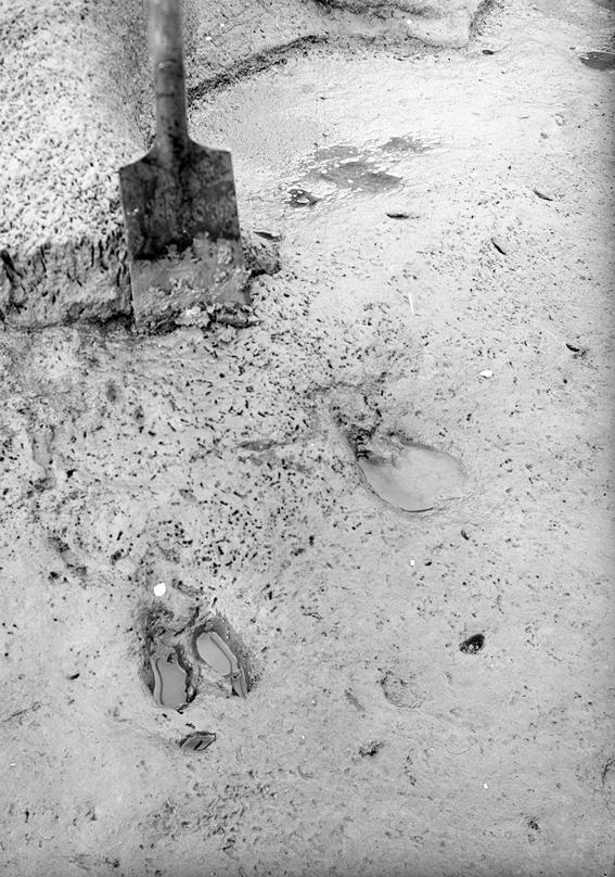 Pflugfurchen in einer Durchbruchstelle der Insel. Photo: Dr. Krüger, 1926.
