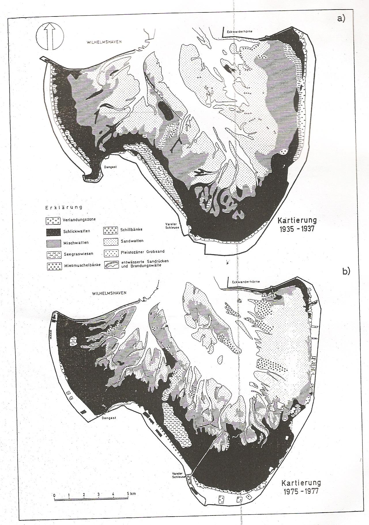 4. Makrobenthos und Sediment Die Biota und Sedimente des Jadebusenwattes sind mehrmals untersucht worden und zwa in den 1930er Jahre (Linke, 1939), in den 1970er Jahren (Michaelis, 1987,