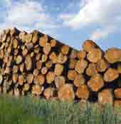Forstkette Güteklasse 8 DIN EN 1677 Forstketten dürfen n u r zum Ziehen von Lasten verwendet werden. Zum Heben von Lasten sind diese Ketten n i c h t zugelassen!