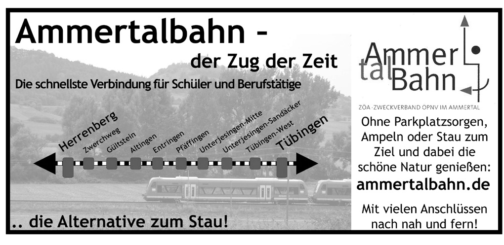 Detailliert Auskunft über wichtige Angebots- und Serviceleistungen (u.a. zur Barrierefreiheit) der Bahnhöfe und Haltestellen in Baden- Württemberg gibt die Stationsdatenbank des 3- Löwen- Takts www.