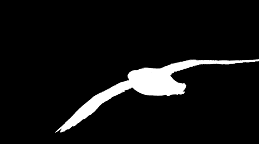 5 Tier Der Eissturmvogel (Fulmarus glacialis) Von den Schiffen nach Helgoland beobachtet man oft möwenähnliche Vögel, die mit auffällig gerade gestreckten Flügeln und scheinbar ohne Anstrengung flach