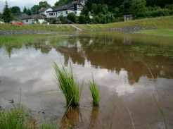 Regenwasserentwässerung in Marburg Marbach RRB Auf
