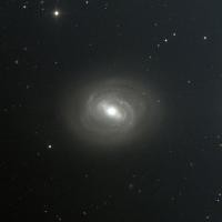 Berenices NGC1300
