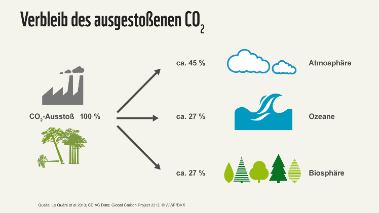 Wie funktioniert das Klimasystem?