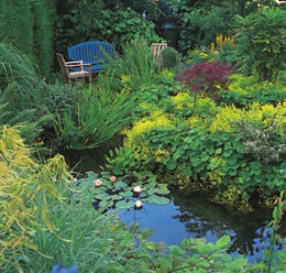 2 Der Gartenteich -Natur erleben und genießen Kaum ein Garten ist zu klein für einen Gartenteich oder eine kleine Sumpfzone eine Oase im Grünen.