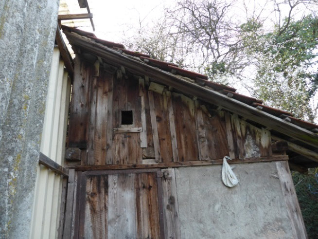 4 Abb. 3: Links: Holzschuppen mit Quartierpotential zwischen Dachziegeln, Wand und Dachbalken. Rechts: Quartierpotential in Dachbalken eines Geräteüberstands.