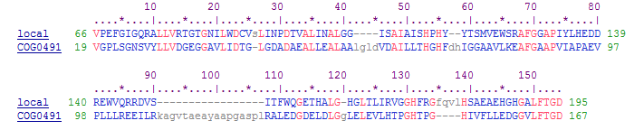 VII. Anhang 145 hypb glob hypb glob Abbildung C: Übereinstimmung von HypB1 mit der der konservierten Domäne der Metallo-ß-Lactamase-Superfamilie.