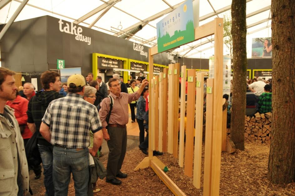 Modul: Energie aus unsern Wäldern 5 Banner zu Holzenergie (90x220 cm) Banner 1