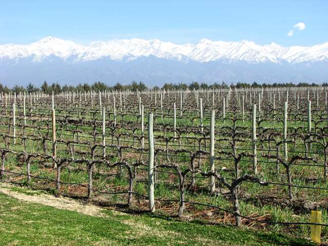 Wein, Hochgebirge & Natur Pur Mendoza Region Malbec ist wohl das erste Wort, wenn man nach Ankunft in der Weinmetropole.