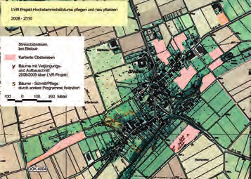 Verjüngung von Altbäumen Die Biologische Station kartierte und bewertete im Kreis Euskirchen mehr als 100 Obstwiesen.