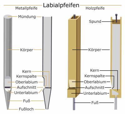 Labialpfeifen: Der Ton entsteht wie bei der Blockflöte durch Anblasen einer Schneidekante am Oberlabium.