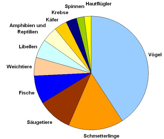 Ergebnisse Literaturauswertung Dabei meisten Publikationen behandeln Vögel (40 %) und Schmetterlinge (15 %).