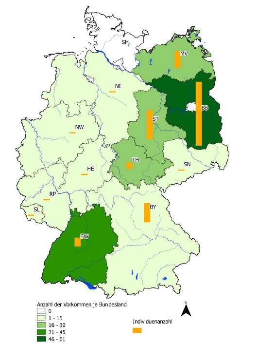 2. Vorkommen in Deutschland und Sachsen deutschlandweit 221