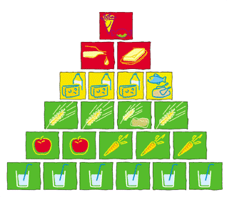 Die Ernährungspyramide Indem wir Lebensmittel kombinieren und uns vielseitig und abwechslungsreich ernähren führen wir unserem Körper die notwendigen Nährstoffe in ausreichenden Mengen zu.