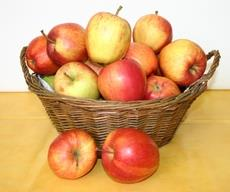 An apple a day keeps the doctor away Apfelpause statt Zigarettenpause Kantinenkompass Treppensteigen