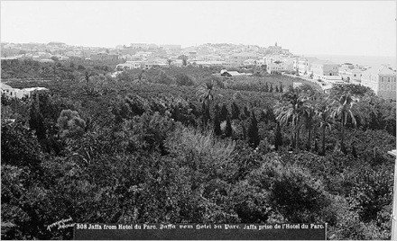 Gesamtsicht auf die Pflanzungen von Jaffa, aufgenommen vor 1914.