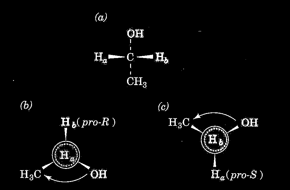 Prochirale Zentren o Zwei chemisch identische Substituenten an einem tetrahedralen Zentrum sind