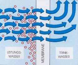 Trennt man zwei unterschiedlich befrachtete Flüssigkeiten durch eine Zellmembrane, so bewegen sich nach dem Prinzip der Braunschen Molekularbewegung Flüssigkeitsmoleküle zur weniger konzentrierten