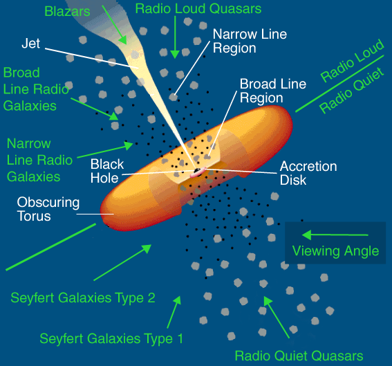 Aktive Galaxien : Unified model / Standard-Modell: Physik : - mit/ohne Radiostrahlung =