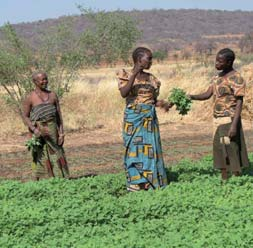 Kleinbauern sind die Leidtragenden: Sie verlieren Land, damit ihre Existenzgrundlage und ihre Dorfgemeinschaft.