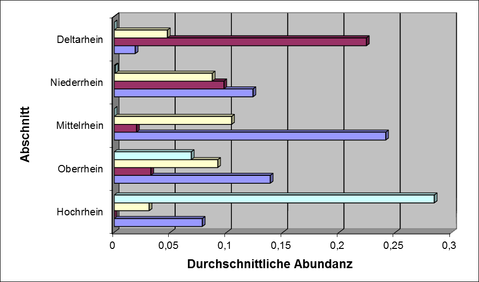 IKSR CIPR ICBR Bewirtschaftungsplan 2015 IFGE Rhein Kapitel 4 Achnanthidium pyrenaicum (Hustedt) Kobayasi Nitzschia dissipata (Kützing) Grunow ssp.