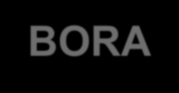 BORA Zielgruppen BORA-Zielgruppe 1: Rehabilitanden in Arbeit ohne besondere