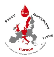 In fachkundiger Runde berieten Experten verschiedener Krankenhäuser aus Italien, den Niederlanden, Malta, Großbritannien, Dänemark, Deutschland und Schweden darüber, wie Patient Blood Management in