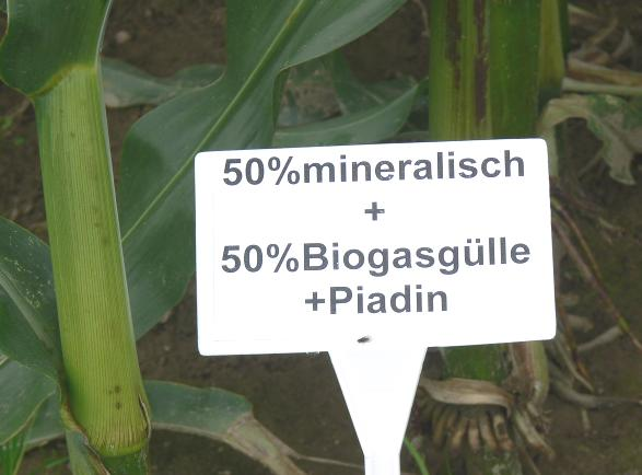 Potenziale zur Minderung der Freisetzung von klimarelevanten