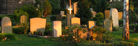 Im Jahr 1881 begannen die ersten Verhandlungen über die Anlegung eines Friedhofes in Striesen.