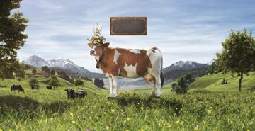 Kuhhörner: Im Lernangebot haben die Kühe Hörner, in der Realität werden aus Sicherheitsgründen die meisten Schweizer Milchkühe bereits als Kälber enthornt.
