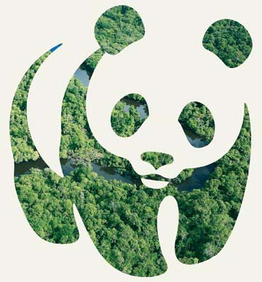 Der WWF +100 WWF is in over 100 countries, on 5 continents +5000 WWF has over 5,000 staff worldwide 1961 WWF was founded In 1961 +5M WWF has over 5 million