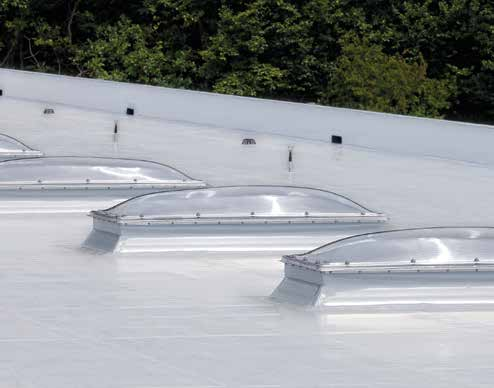 MITGLIEDERARBEIT gewünschte Verbleib des Wassers auf der Dachfläche natürlich in die Statik der Flachdachkonstruktion miteinfließen.