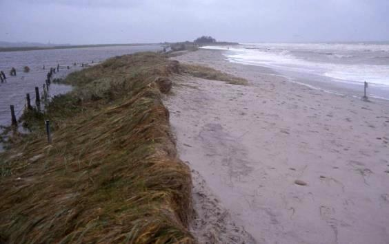 540: Übersandeter Geröllstrandwall der Ostsee bei Sturmhochwasser Es wird die