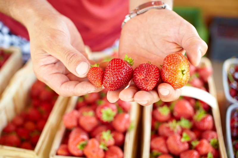 Abbildung 5: Erdbeeren, die nicht den Vermarktungsstandards entsprechen für Chinakohl, Zwiebel, Kraut, Lauch und Kartoffel.