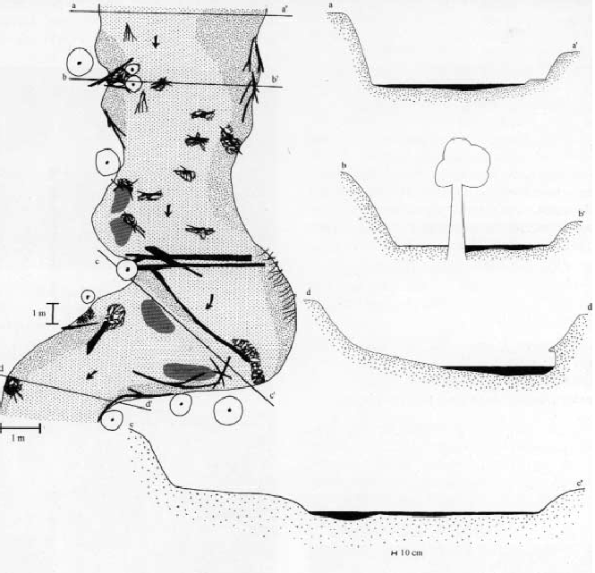 Typ 14 Sandgeprägte Tieflandbäche: Querprofil und Beispiel für die Substratverteilung (Leitbild) Typ 14
