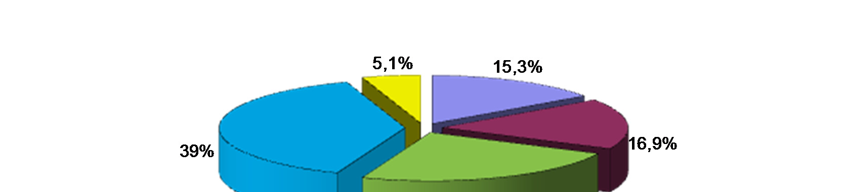 Betriebswirtschaftslehre/Rechnungswesen: 30 Schülerinnen (50,9 %)
