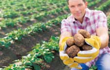 Umwelteigenschaften und Abstandsauflagen Alternaria-Spezialfungizid mit zwei Wirkstoffen gegen beide Alternaria-Arten Einsatzkulturen Kartoffeln, Salat, Zwiebeln etc.