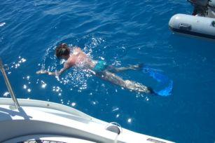 Als ich wieder zum Boot zurück schwamm, sah ich einen kleinen Hai unter dem Boot. Dem schien es da zu gefallen, denn er blieb noch einen ganzen Tag da.