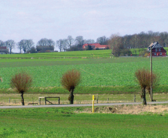 28 Landwirtschaft Bäuerliche Familientraditionen sind in Ostdeutschland vorzufinden, wo nach 1990 wieder an die durch die Kollektivierung untergegangene Familientradition angeknüpft werden konnte.