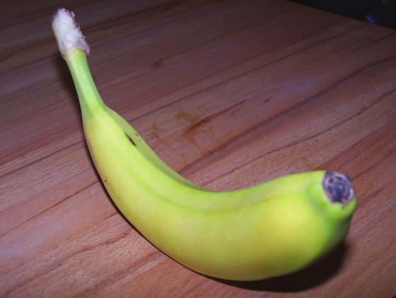 Warum ist die Banane krumm? und andere Fragen über eine beliebte Frucht Lies dir den Informationstext aufmerksam durch und überlege, welche Fragen der Text beim Lesen entstehen lässt.